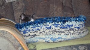 Minki, Bonny und Berry 260.jpg