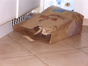 Minki, Bonny und Berry 079.jpg