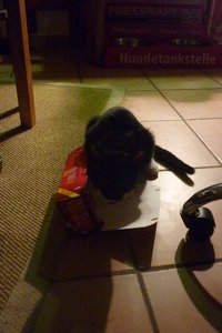 Zu kleine Boxen------gibts nicht^^ 007.jpg