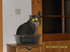 no name 048 [800x600].jpg