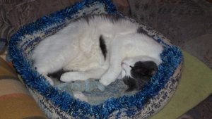 Minki, Bonny und Berry 274.jpg