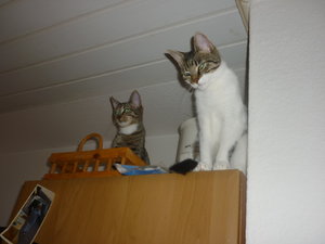 Spielereien 005.jpg Spielereien 005.jpg