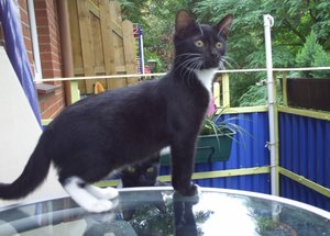 Akira & Samira 0023 a.jpg