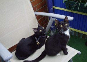 Akira & Samira 0025 a.JPG