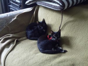 Akira & Samira 0035a.JPG