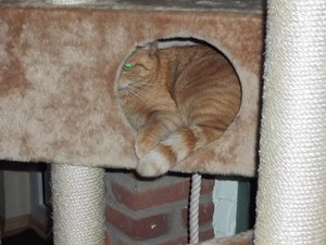 Minki, Bonny und Berry 238.jpg