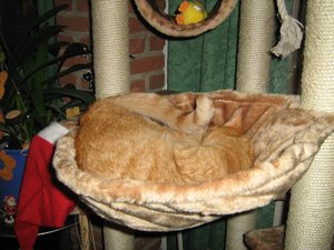 Minki, Bonny und Berry 028.jpg