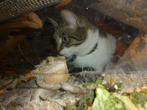 Josie zu Besuch bei Bartis 006.jpg