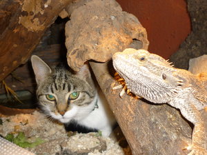 Josie zu Besuch bei Bartis 007.jpg