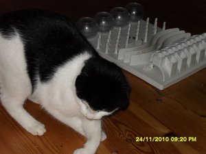 no name 009 [800x600].jpg