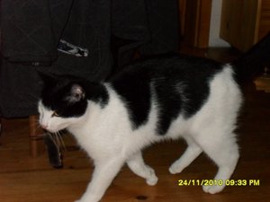 no name 012 [800x600].jpg