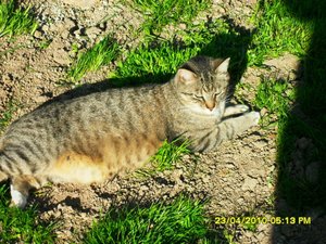 Jungs im Garten 009 [800x600].jpg