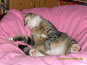 neue Mütze 2 015 [800x600].jpg