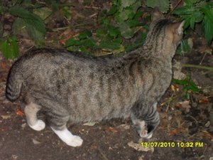 neue Mütze 2 033 [800x600].jpg