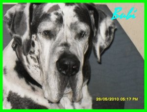 Pierrot (31) [800x600].jpg