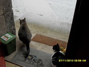 essen 002 [800x600].jpg