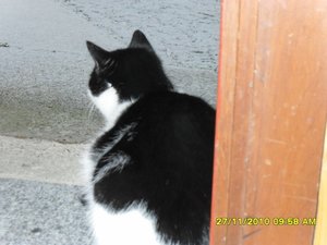 essen 001 [800x600].jpg