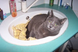 andiamos neuer platz.JPG