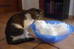 Erster Schnee für die Jungs 003.jpg