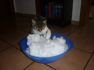 Erster Schnee für die Jungs 006.jpg