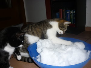 Erster Schnee für die Jungs 022.jpg