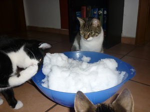 Erster Schnee für die Jungs 023.jpg