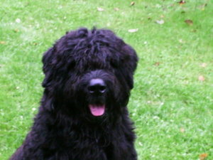 Fotos Privat 002.jpg