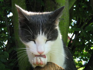 Minki u. Berry 017.jpg