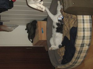 Minki, Bonny und Berry 139.jpg