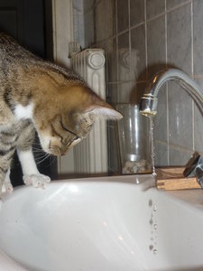 Wo kommt das Wasser her......... 005.jpg