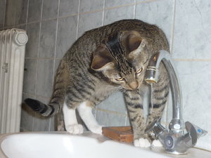 Wo kommt das Wasser her......... 009.jpg