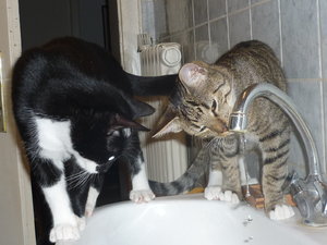 Wo kommt das Wasser her......... 014.jpg