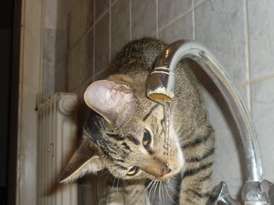 Wo kommt das Wasser her......... 016.jpg