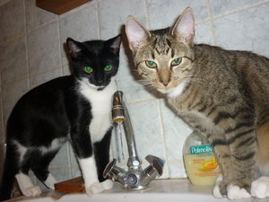 Wo kommt das Wasser her......... 025.jpg