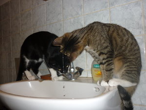 Wo kommt das Wasser her......... 024.jpg