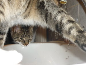 Wo kommt das Wasser her......... 018.jpg