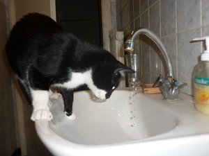 Wo kommt das Wasser her......... 030.jpg