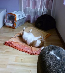 7.12. Benni zu besuch(2).jpg