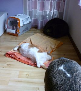 7.12. Benni zu besuch(3).jpg