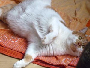 7.12. Benni zu besuch (6).jpg