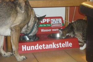 Hühnerschenkelchen^^ Klappe, die erste 023.jpg