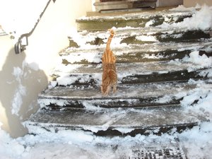 wintereinbruch 10.12.10 011.jpg