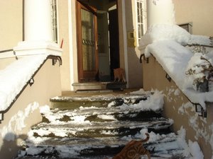 wintereinbruch 10.12.10 016.jpg