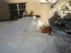 wintereinbruch 10.12.10 017.jpg