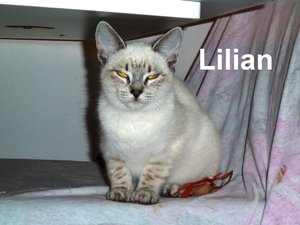 Lilian - Kopie.JPG