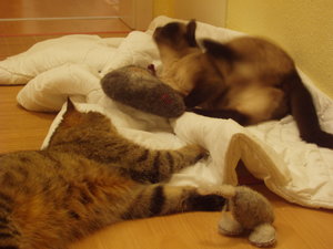 spielen auf Schmusedecke 005.jpg