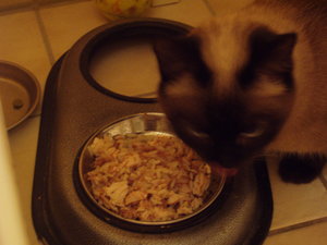 spielen auf Schmusedecke 026.jpg