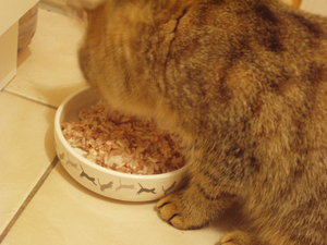 spielen auf Schmusedecke 012.jpg