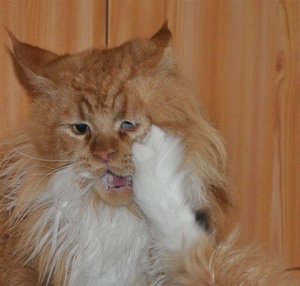 Kopie von DSC nov10 057.jpg