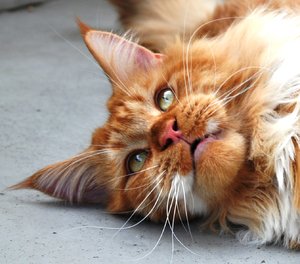 DSC august10 311.jpg